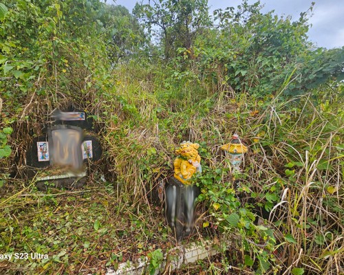 台南墓地除草, 台南墓園定期除草, 台南墓園除草, 台南割草, 台南除草, 台南割草整地, 台南除草整地, 台南代客除草, 台南空地除草價格, 台南除草工, 台南整地除草費用, 
        台南建地割草, 台南整地除草, 台南建地除草