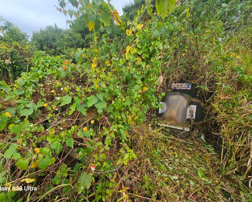 台南墓地除草, 台南墓園定期除草, 台南墓園除草, 台南割草, 台南除草, 台南割草整地, 台南除草整地, 台南代客除草, 台南空地除草價格, 台南除草工, 台南整地除草費用, 
        台南建地割草, 台南整地除草, 台南建地除草
