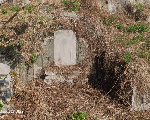 台南墓地除草, 台南墓地鋸樹, 台南墓地環境整理, 台南割草, 台南除草, 台南割草整地, 台南除草整地, 台南代客除草, 台南空地除草價格, 台南除草工, 
                            台南整地除草費用, 台南墓園整理, 台南整地除草, 台南空地除草