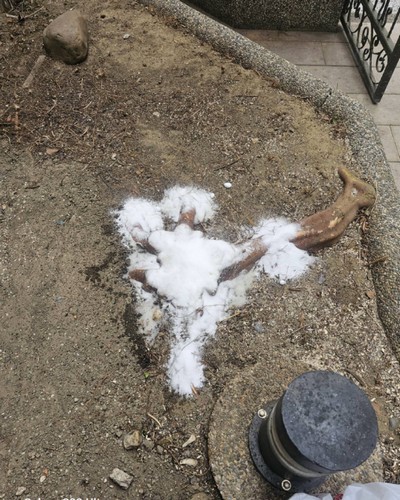 台南居家庭園除草, 台南農地除草, 台南建地除草, 台南餐廳除草, 台南園藝整理, 台南樹木移除清運, 台南樹木清運, 
                            台南建地割草, 台南代客除草價格行情?, 台南除草公司推薦, 台南除草價格, 台南門市除草, 台南園藝除草, 台南定期除草