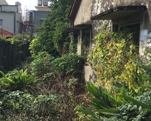 台南環境整理, 台南鋸樹, 台南空屋除草, 台南樹木雜草廢棄物清運, 
                    台南空地除草, 台南除草鋸樹, 台南代客除草, 台南除(割)草作業, 台南割草, 台南除草, 台南割草整地, 台南除草整地, 台南空地除草價格, 台南除草工, 
                    台南整地除草費用, 台南空地割草, 台南整地除草, 台南空地除草