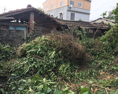 台南環境整理, 台南鋸樹, 台南空屋除草, 台南樹木雜草廢棄物清運, 
                    台南空地除草, 台南除草鋸樹, 台南代客除草, 台南除(割)草作業, 台南割草, 台南除草, 台南割草整地, 台南除草整地, 台南空地除草價格, 台南除草工, 
                    台南整地除草費用, 台南空地割草, 台南整地除草, 台南空地除草