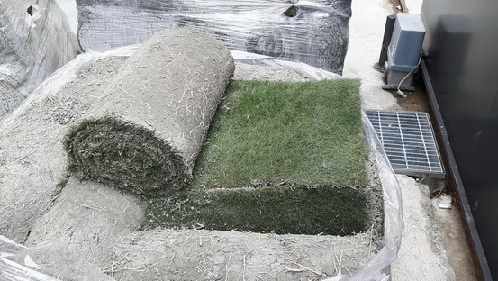 台南鋪草皮，台南草皮