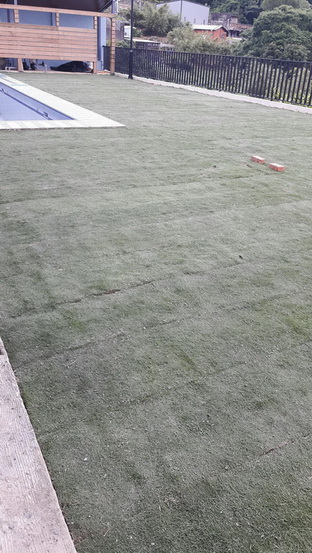 台南鋪草皮，台南草皮