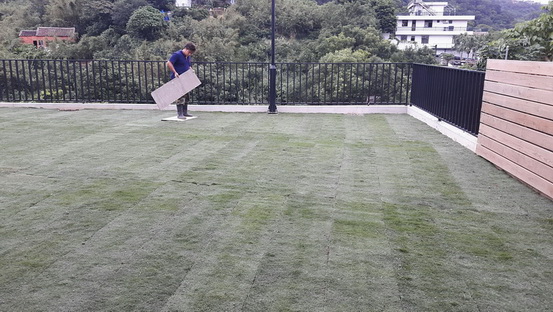 台南鋪草皮，台南草皮