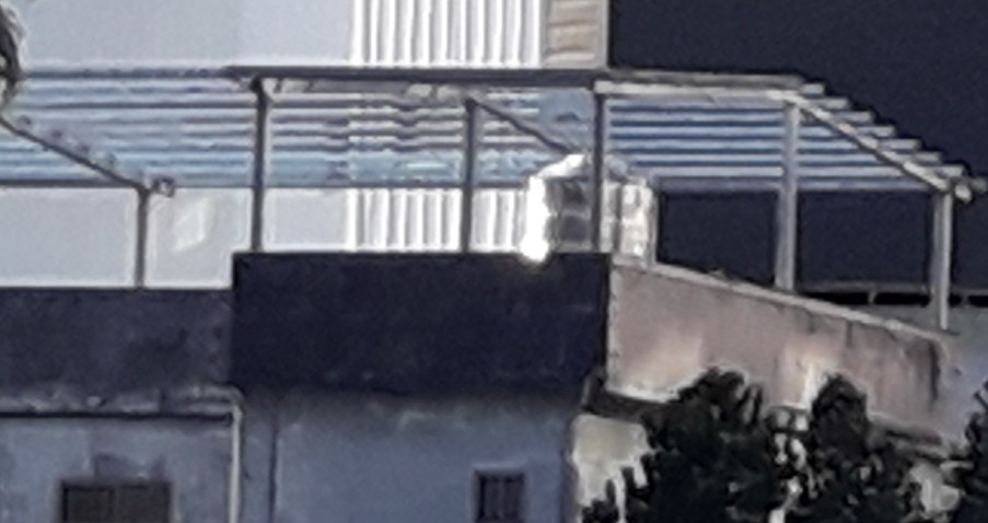 台中鐵皮屋施工，台中鐵皮屋設計、台中鐵皮屋搭建；台中鐵皮屋生產，台中鐵棟工程