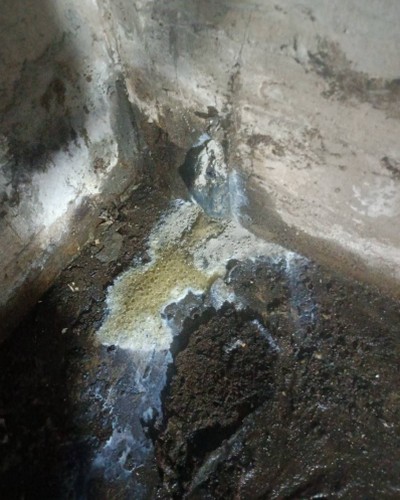 台中抓漏免打牆