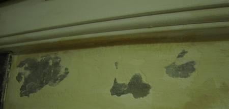 台中壁癌根治, 台中壁癌達人, 台中壁癌剋星, 台中壁癌處理,台中木工油漆,台中木工裝潢油漆,台中裝潢油漆,台中油漆工程價目表,台中木作油漆,台中天花板油漆,台中室內油漆,台中室內噴漆,台中油漆房子,台中房屋油漆,台中房子油漆,台中油漆價格,室內油漆粉刷,台中公寓油漆,台中油漆工程,台中油漆粉刷價格,台中油漆師傅推薦,台中油漆價格表