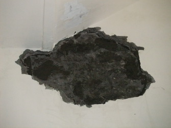 �x����u�o��,�x����u���C�o��,�x�����C�o��,�x���o���u�{���ت�,�x����@�o��,�x���Ѫ�O�o��,�x���Ǥ��o��,�x���Ǥ��Q��,�x���o���Фl,�x���ЫΪo��,�x���Фl�o��,�x���o������,�Ǥ��o������,�x�����J�o��,�x���o���u�{,�x���o���������,�x���o���v�ű���,�x���o�������