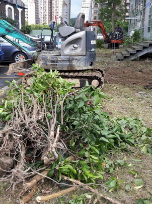 ���ƾ�a, ���Ʋ���, ���ƩǤ��u�{, ���ƫ��g����u�{