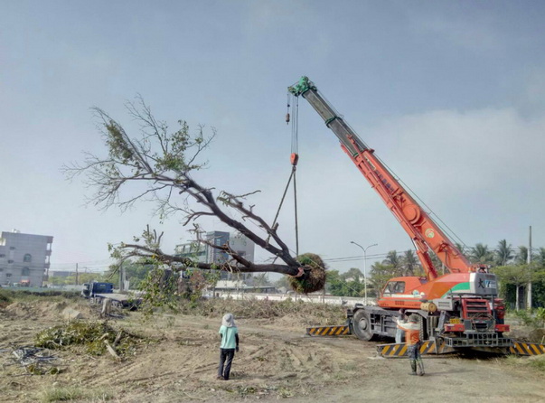 ���ƾ�첾��