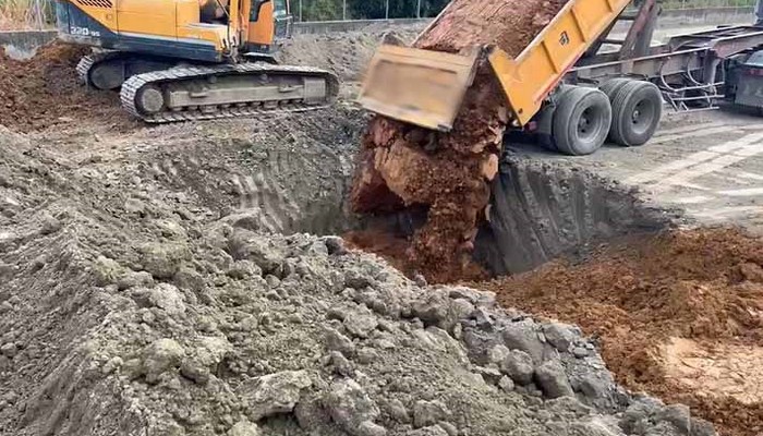 ���ƶ�g,���ѹ��Ƥg�a�W��,�C�ڦa��g,���ƶ�g��a, ���ƶ�g�@���h�ֿ�?, ���ƹA�a��g, ���Ƥg�a�^��, ���ƶ�g��a, 
			���ƫئa��g, ���ƶ�g�@�~, ���ƶ�g����, ���Ʀa�էC�ڶ�g���ƶ�g, ���Ʀ^��g��, ���ƧC�ʦa��g